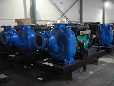 Diesel Engine Dewatering Pumps for an African Client 